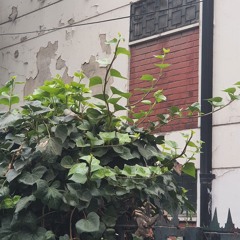 congreso - el cielito de mi pieza