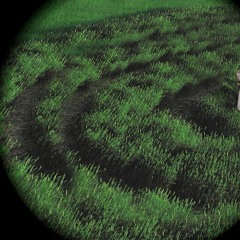 Ivy(demo)
