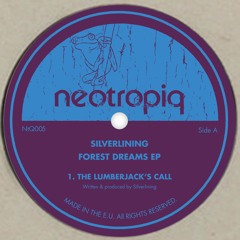 Silverlining - Forest Dreams EP (NtQ005)