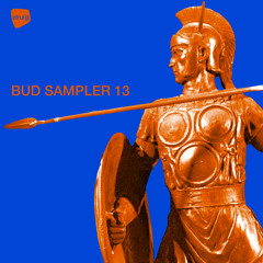BUD SAMPLER 13 - VA