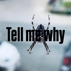 Tell me why