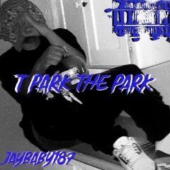 T park the park