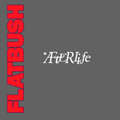 Flatbush Zombies - Afterlife (WORM_HD Dirge)