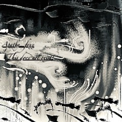 Void salts(the void remix)