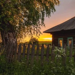 School Rooftop Bird - (slowed)
