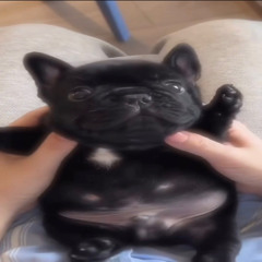 painful love (prod okmax + flapbackk)