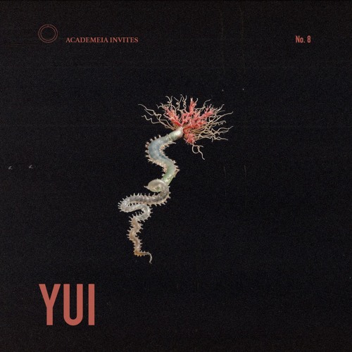 Academeia invites: YUI | 008