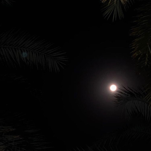 يعني إيه بحبّك؟