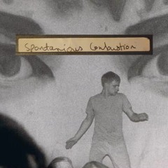 Spontanious Combustion - Nathan Coles, 1996