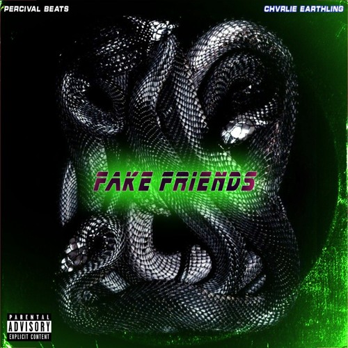 Fake Friends (prod. Percivalbeatz)