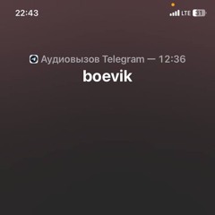 boevik.