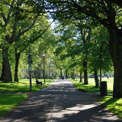 Sunday Morning