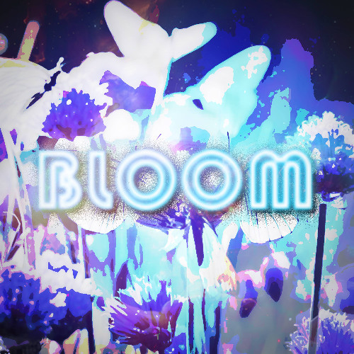 bloom ❀