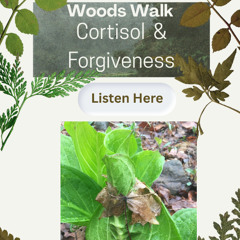 Cortisol and Forgiveness