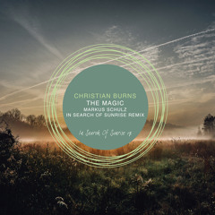 The Magic (Markus Schulz In Search of Sunrise Remix)