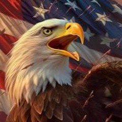 AMERICAN DEMOCRACY 🦅🦅🦅🦅🦅🦅🇺🇲🇺🇲🇺🇲