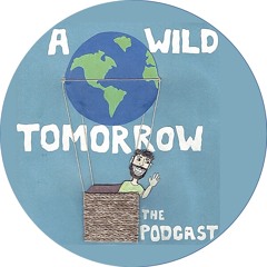 Episode 11: A Rapper's Delight w/ Mike Frush