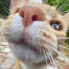 POISON #Jerseyclub - StevenNoVegan