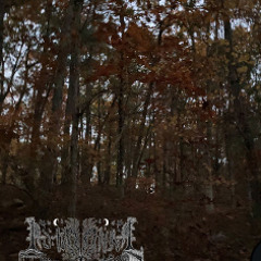 Autumnal Snowfall: Autumn MMXXIV