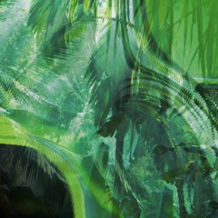 jungle mystic (gs vrt & ringsnot)