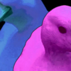 Ducks