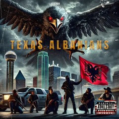 VISION - TEXAS ALBANIANS