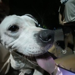 eu to no toque dessa benz w/ pluggdlx