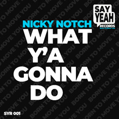 What Y’a Gonna Do (Radio-edit)