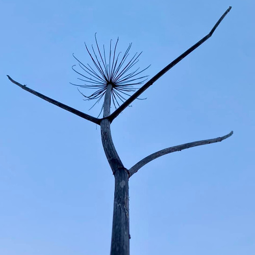 Riddittut (Writing version 1)