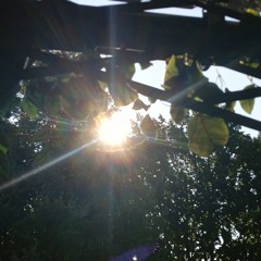 Mary Gu - пьяный романтик (speed up)