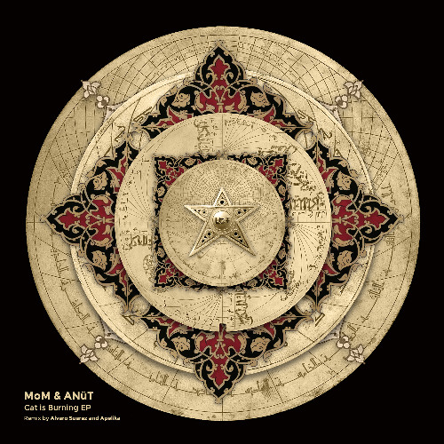 MoM, ANüT-Cat is Burning (Radio Edit)