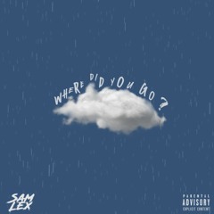 Sam Lex - Where Did You Go