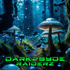 #223 Darkpsyde Raiderz 38
