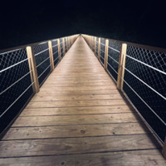 The Bridge