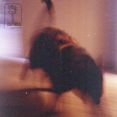 Megan Thee Stallion - Savage (apetight_flip)