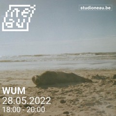 WUM - Out of the Kallaxy #3