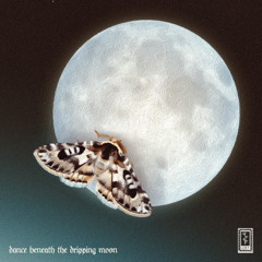 dance beneath the dripping moon