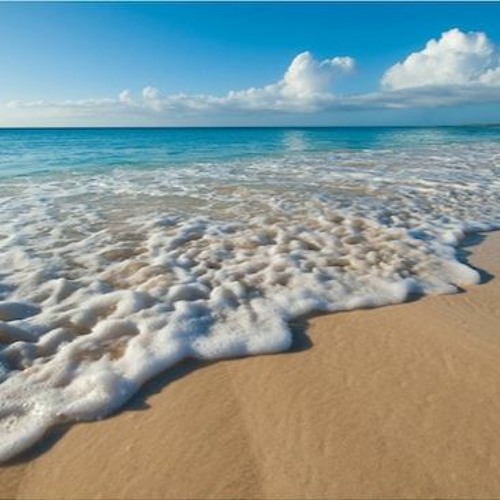 Beach Walk