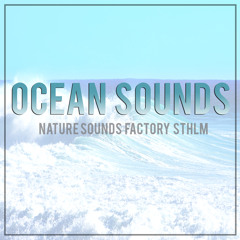 Ocean: Water Sound