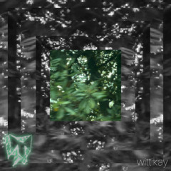 I Don't Care For You