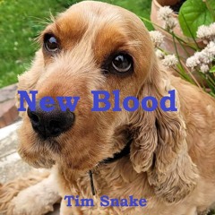 New Blood