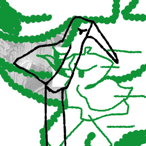 Birdguy - Hoe Ze Kan Zijn (Igor Remix)