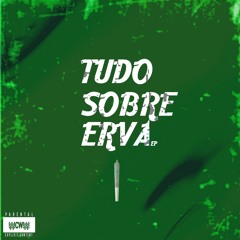 05. Tudo Sobre Erva 🍁