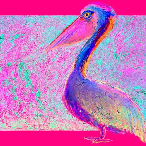 Phenicopteridophobia: Forbidden Kitty - Belgium, 20220625