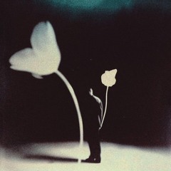 Open Your Heart, n See Me