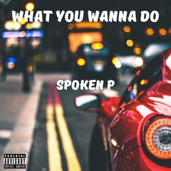 What You Wanna Do [Unreleased]