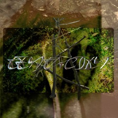 Tentacity show @ Radio Punctum