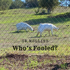 Who's Fooled?