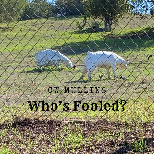 Who's Fooled?