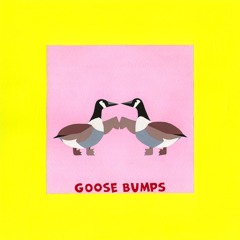 Goose Bumps